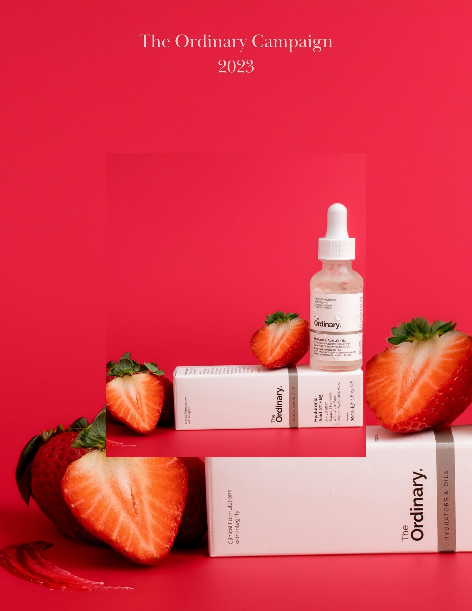 The Ordinary Campaign